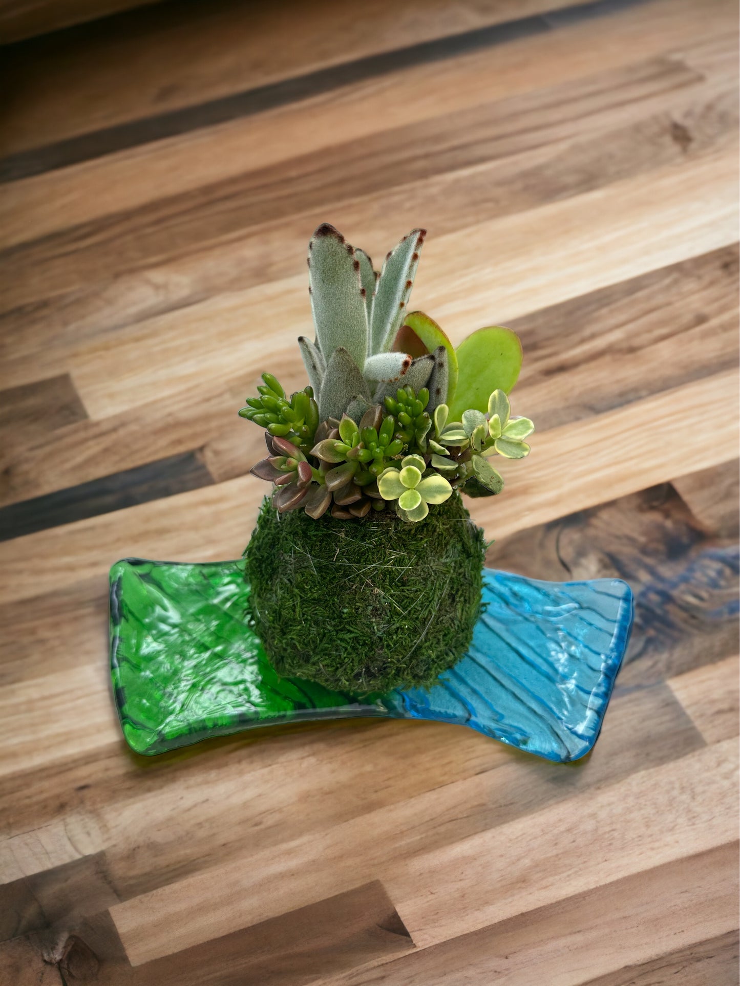 Blue n’ green glass fan shaped Japanese saucer for Kokedama