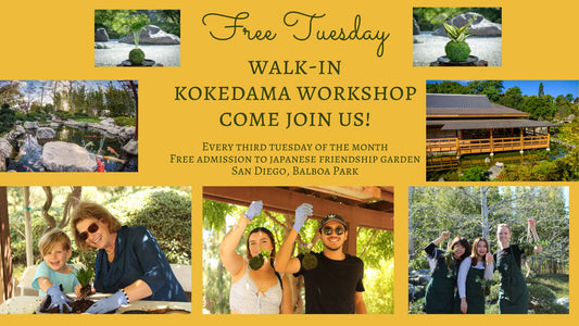 November 18th, Kokedama Workshop at Japanese Friendship Garden, Balboa Park, San Diego
