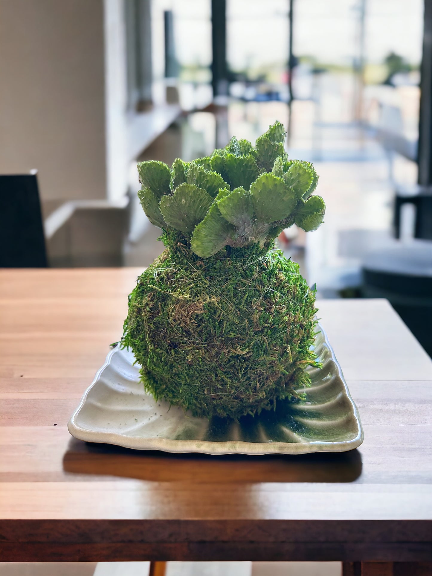 Square green grazed on white saucer Size 5.5" x 1" height