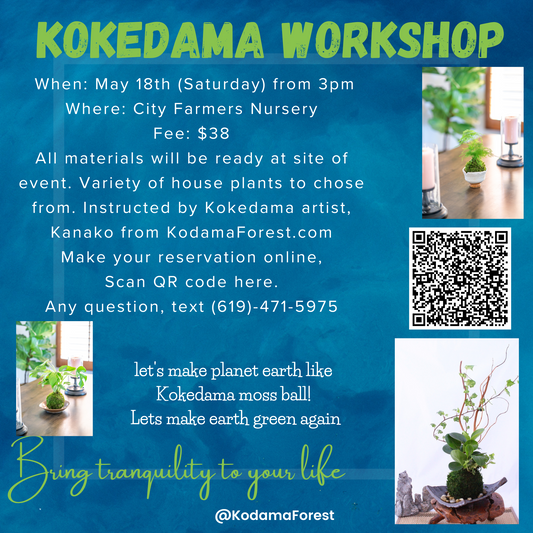 5/18/2024 3pm House Plant Kokedama Workshop at City Farmers Nursery