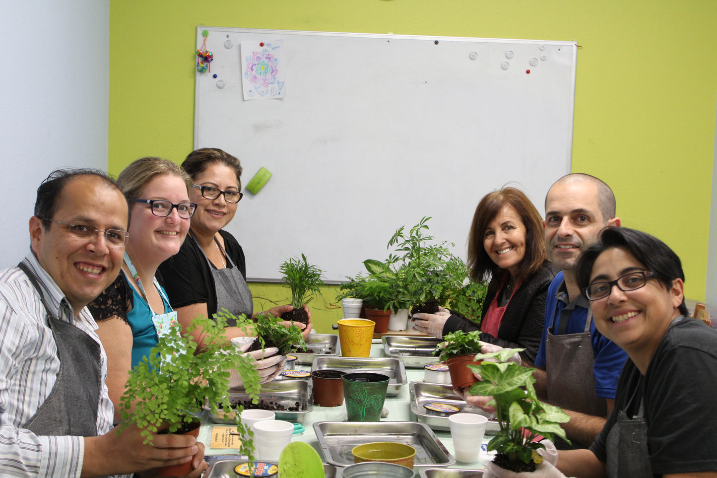 Private Kokedama Workshop at your home!Great activity for birthday party, team building