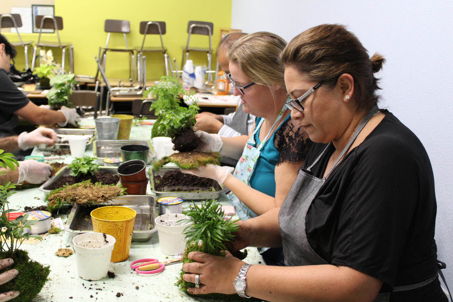 Private Kokedama Workshop at your home!Great activity for birthday party, team building