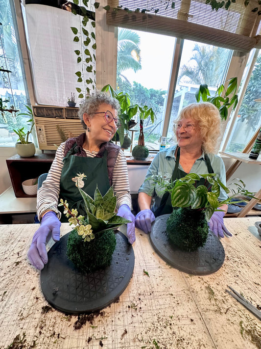 Jan 14/15/16 from 10am $40/person Kokedama Workshop at our Studio in San Diego