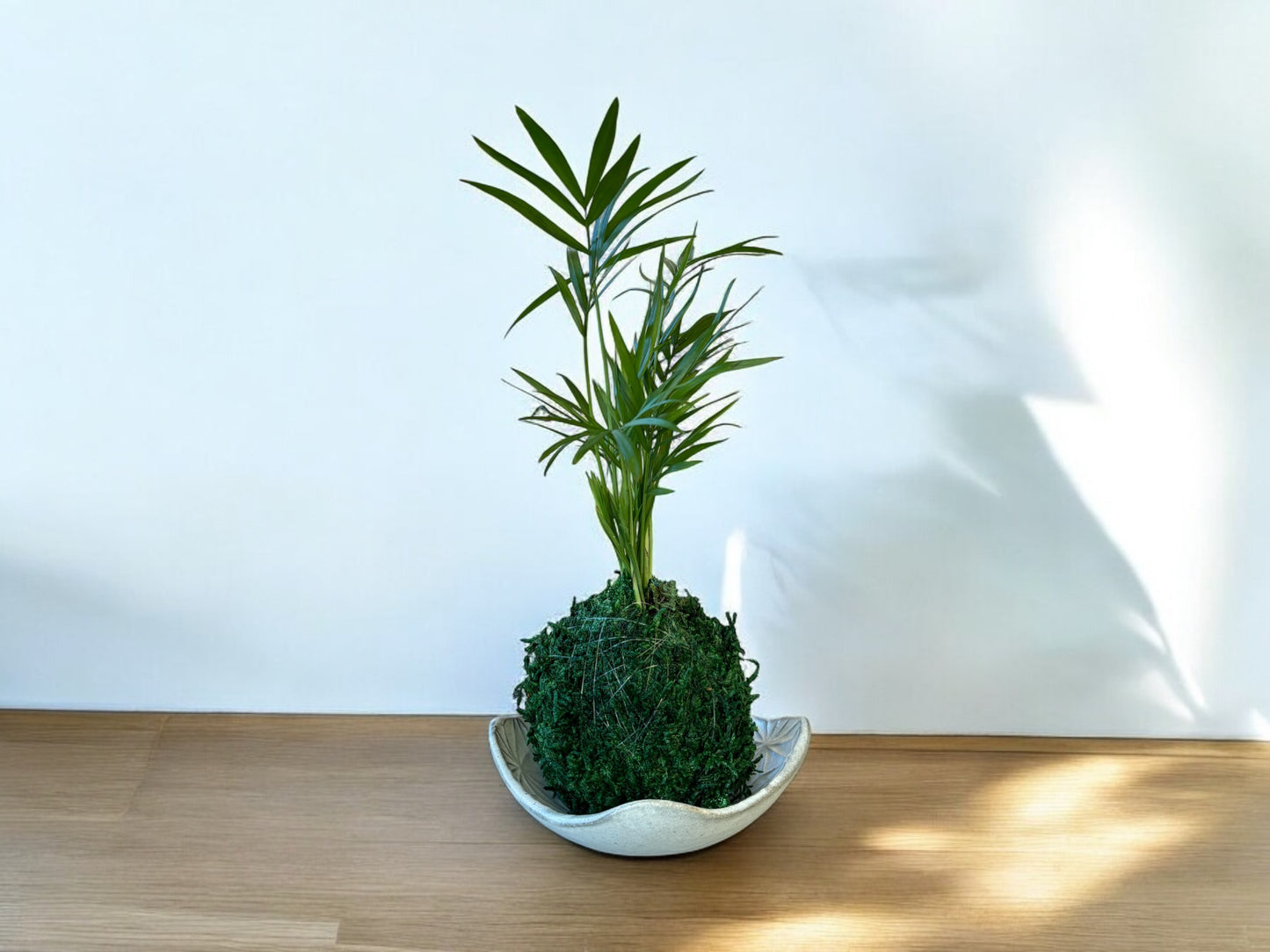 Asanoha Ceramic Kokedama Dish Size: 4” x 4” x 1”