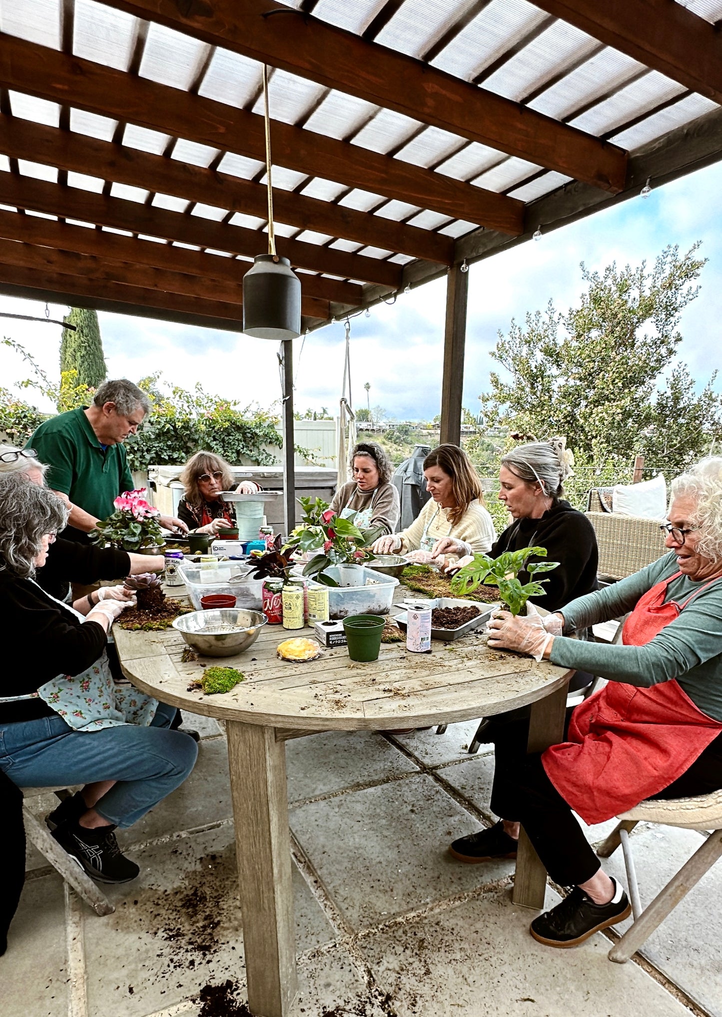 Private Kokedama Workshop at your home!Great activity for birthday party, team building