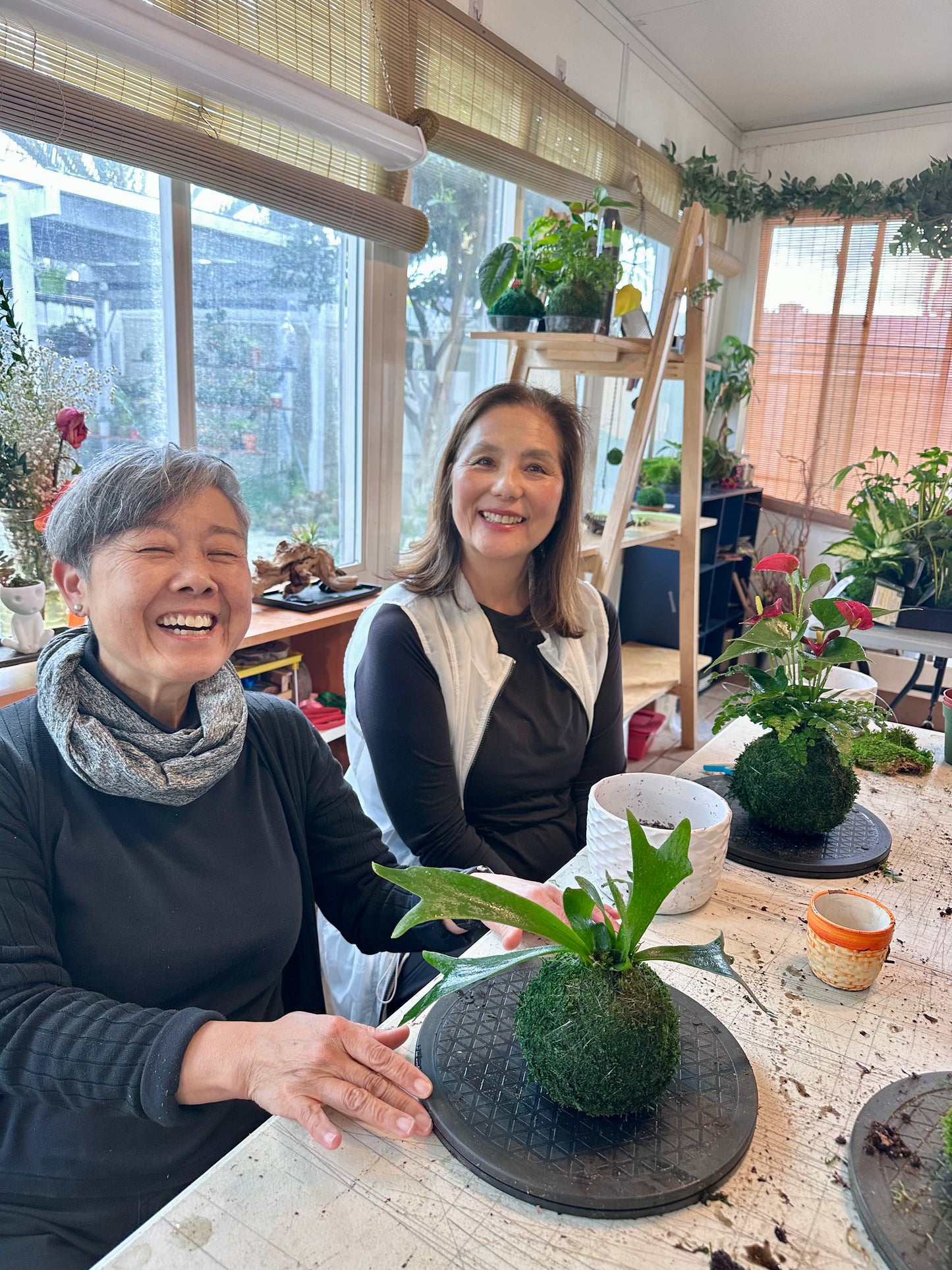 Private Kokedama Workshop at our Studio in San Diego