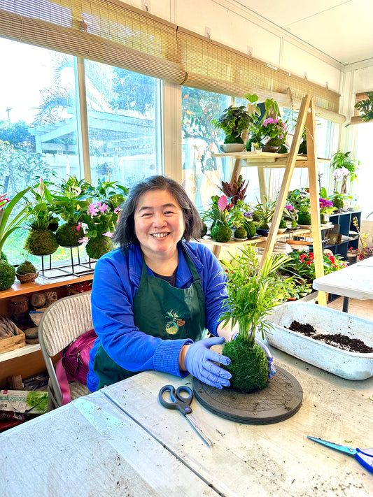 $45/person Kokedama Workshop at our Studio in San Diego (92111)