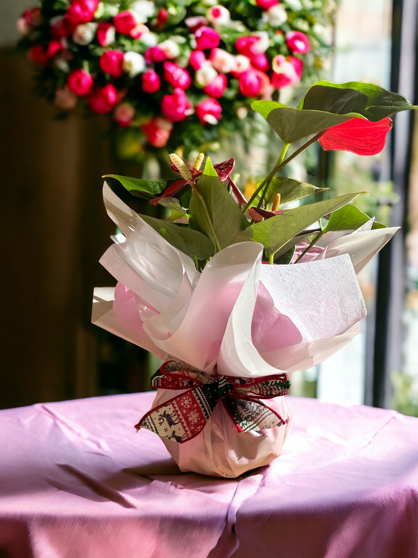Kokedama Gift Wrapping
