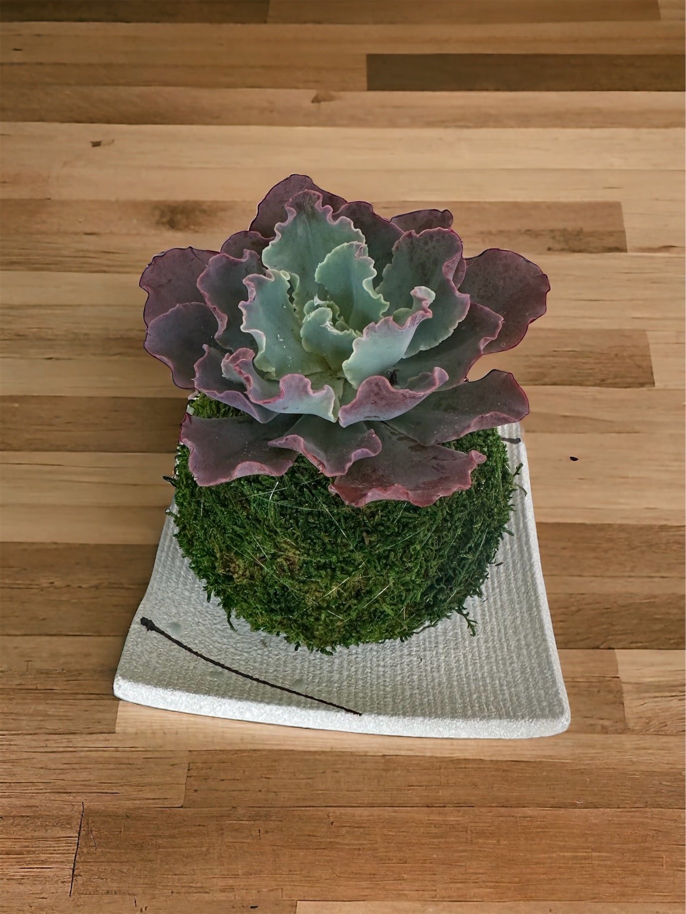 Square white saucer with flower branch design, good for small to medium kokedama 5" x 5" x 0.5"h