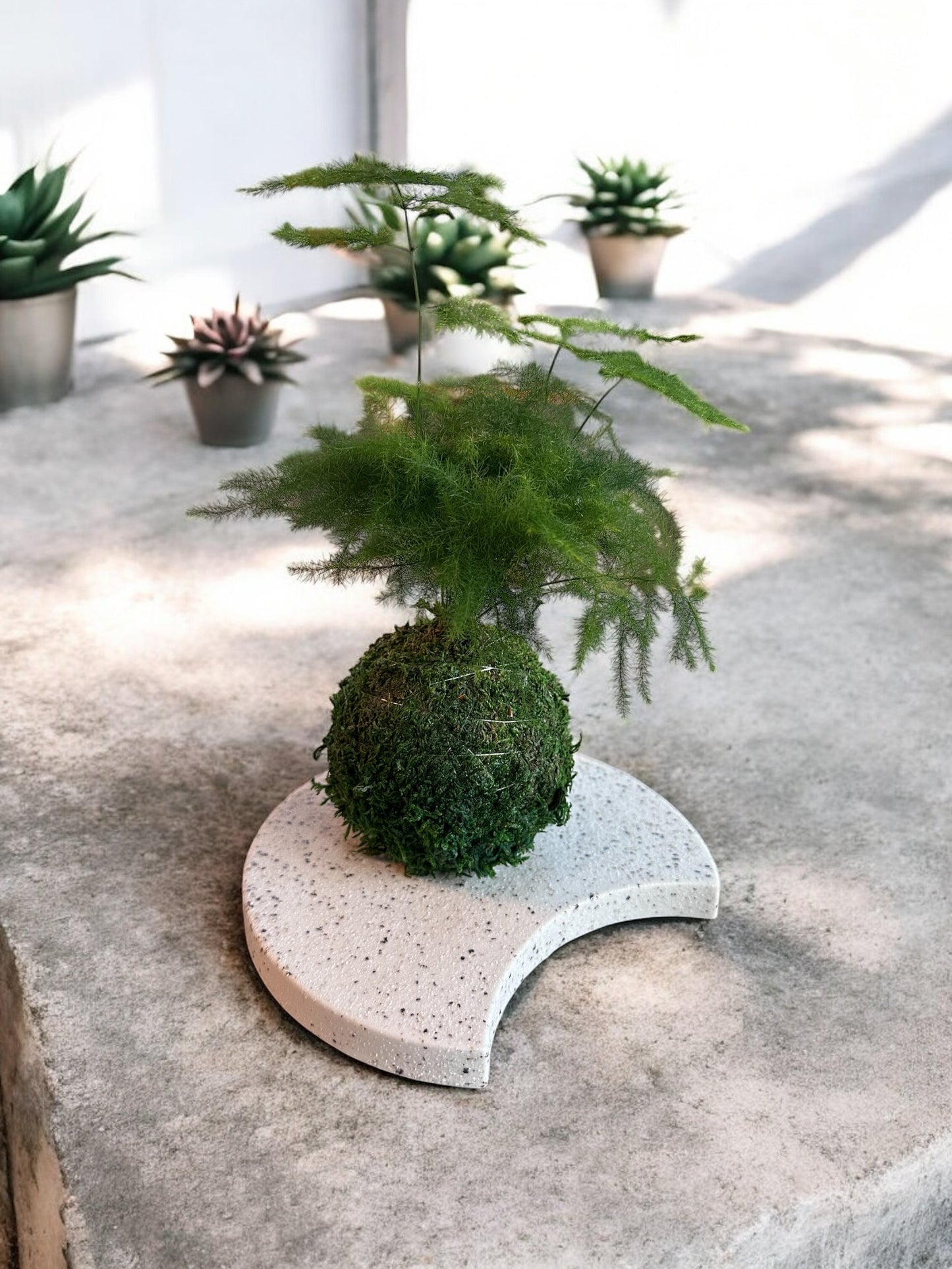 White Moon" Kokedama Saucer Size: 7.5" x 6”