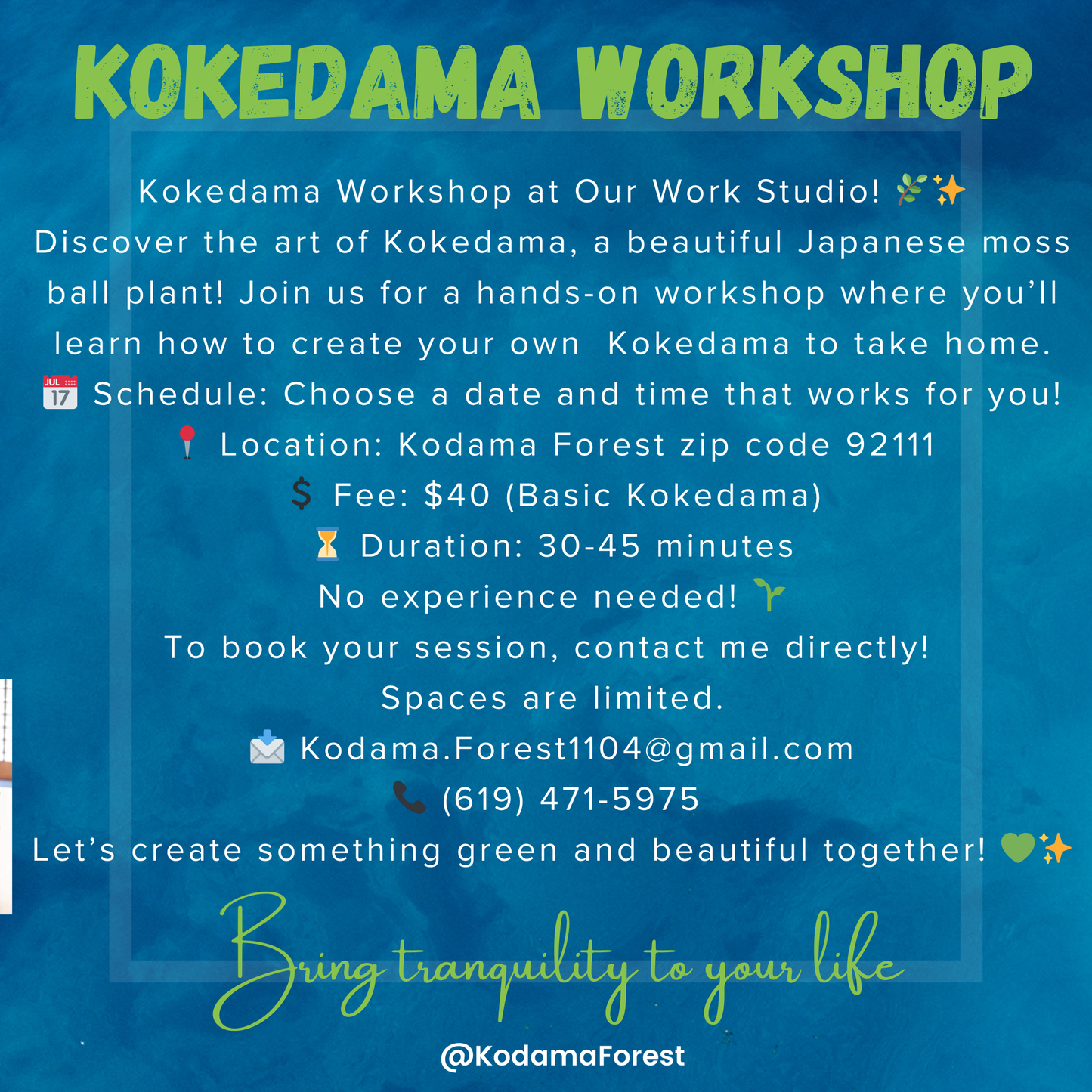 Private Kokedama Workshop at our Studio in San Diego
