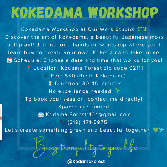 Private Kokedama Workshop at our Studio in San Diego