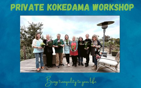 Private Kokedama Workshop at your home!Great activity for birthday party, team building