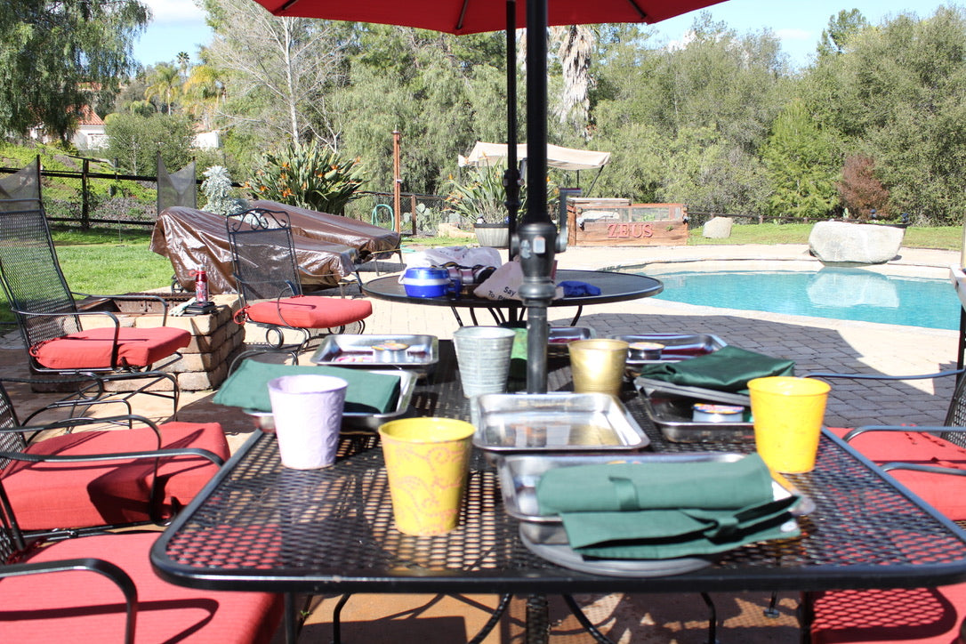 Private Kokedama Workshop at your home!Great activity for birthday party, team building