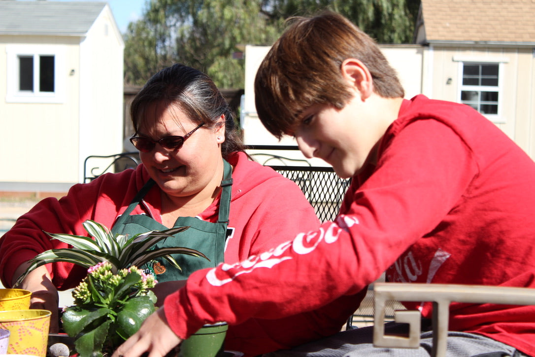 Private Kokedama Workshop at your home!Great activity for birthday party, team building
