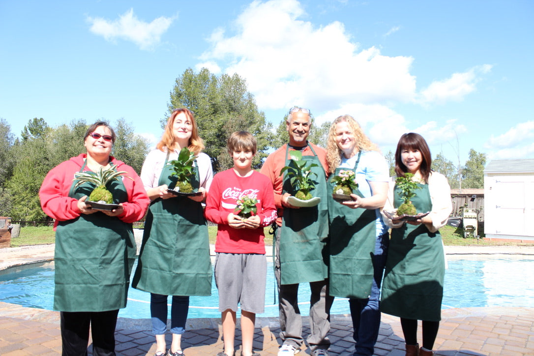 Private Kokedama Workshop at your home!Great activity for birthday party, team building