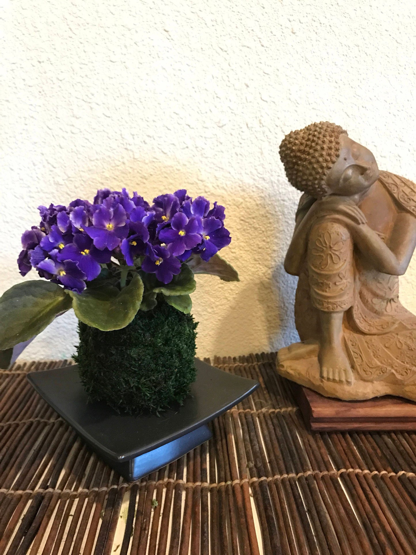 African Violet Kokedama - Moss ball, purple African Violet! Keep bloom perennial flowering plants.-