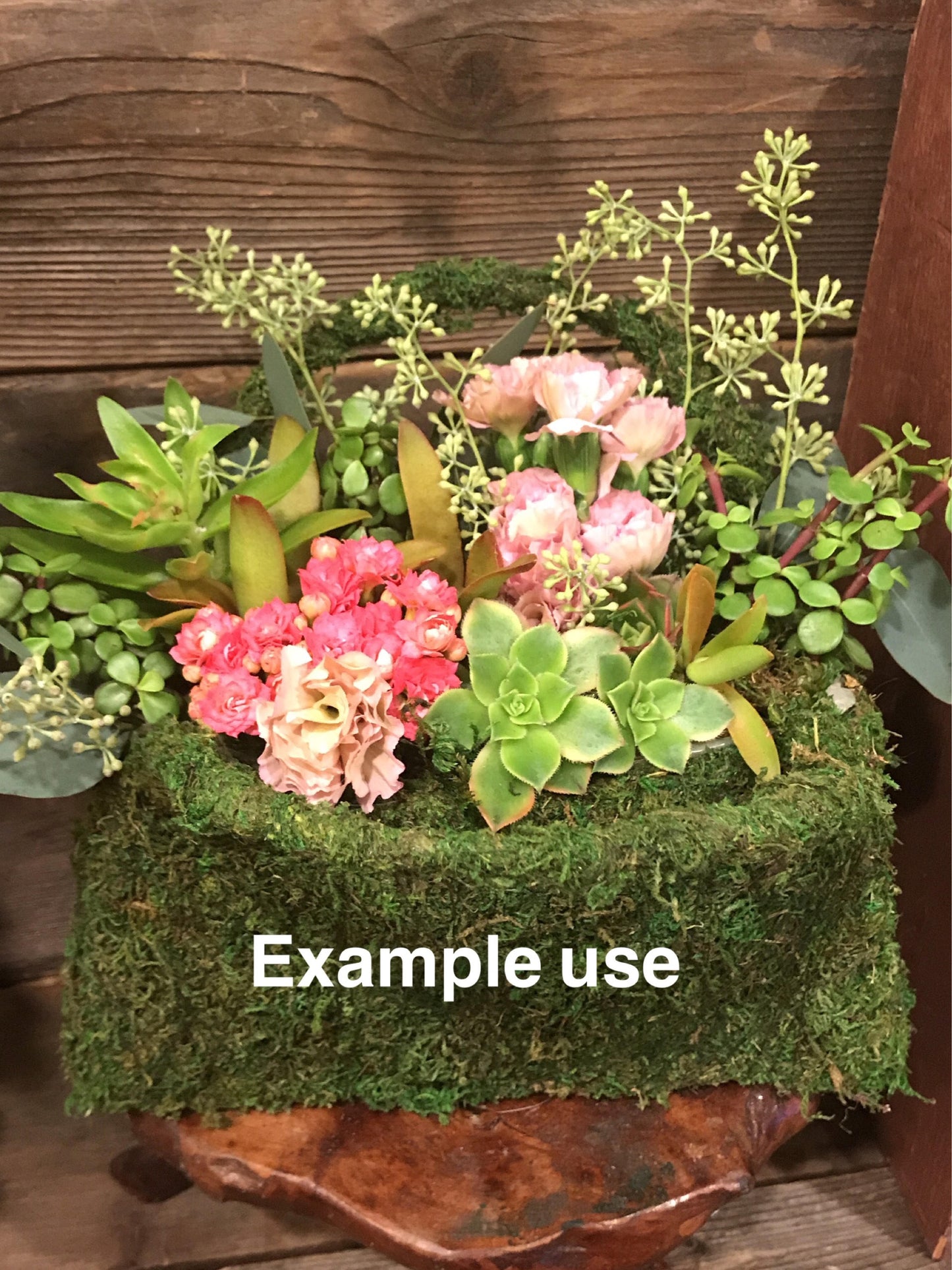 Deco Purse - Fresh Green Moss Basket!  Create your own moss basket garden.