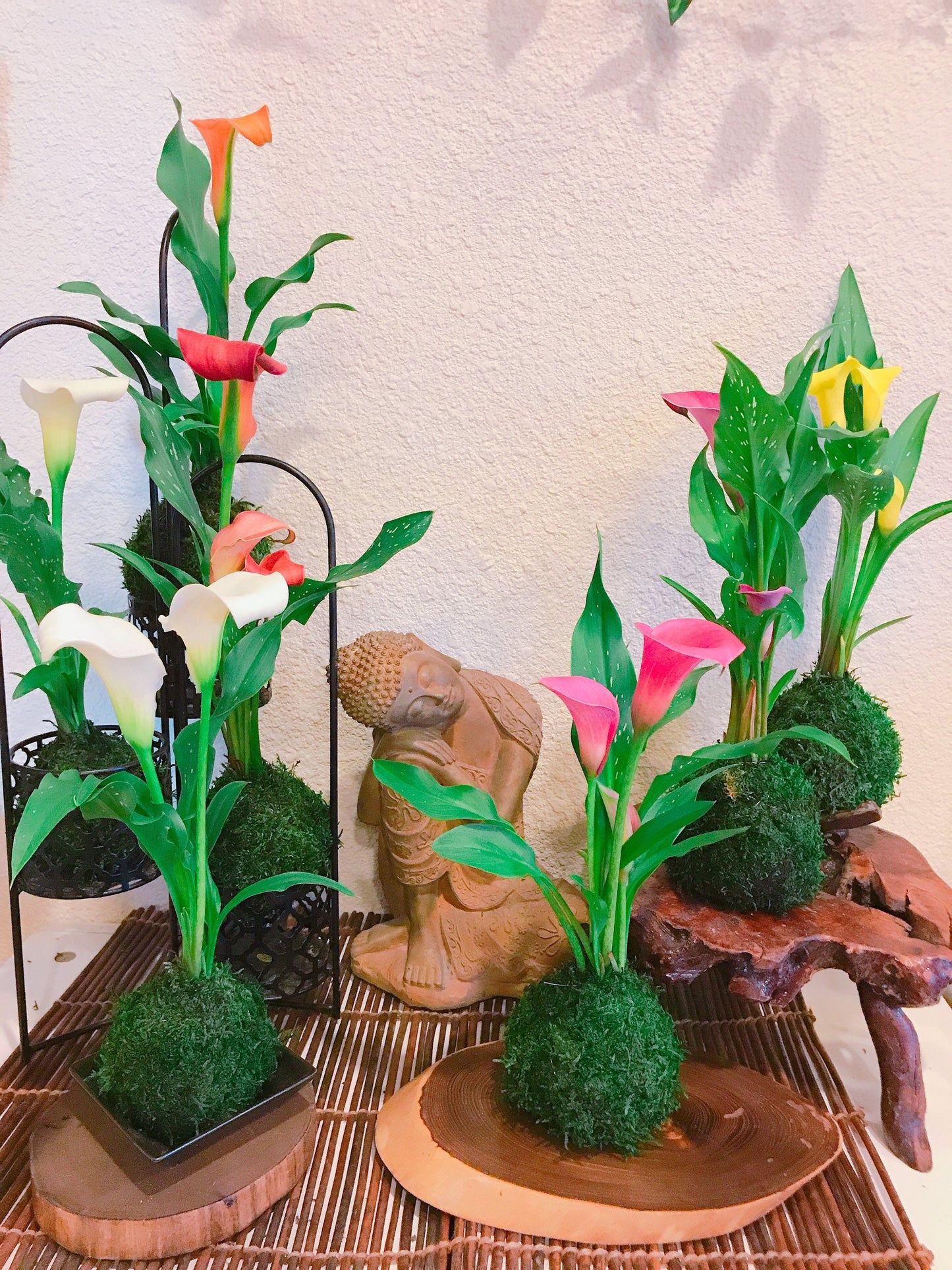 Kokedama - Moss ball with Beautiful Calla Lily