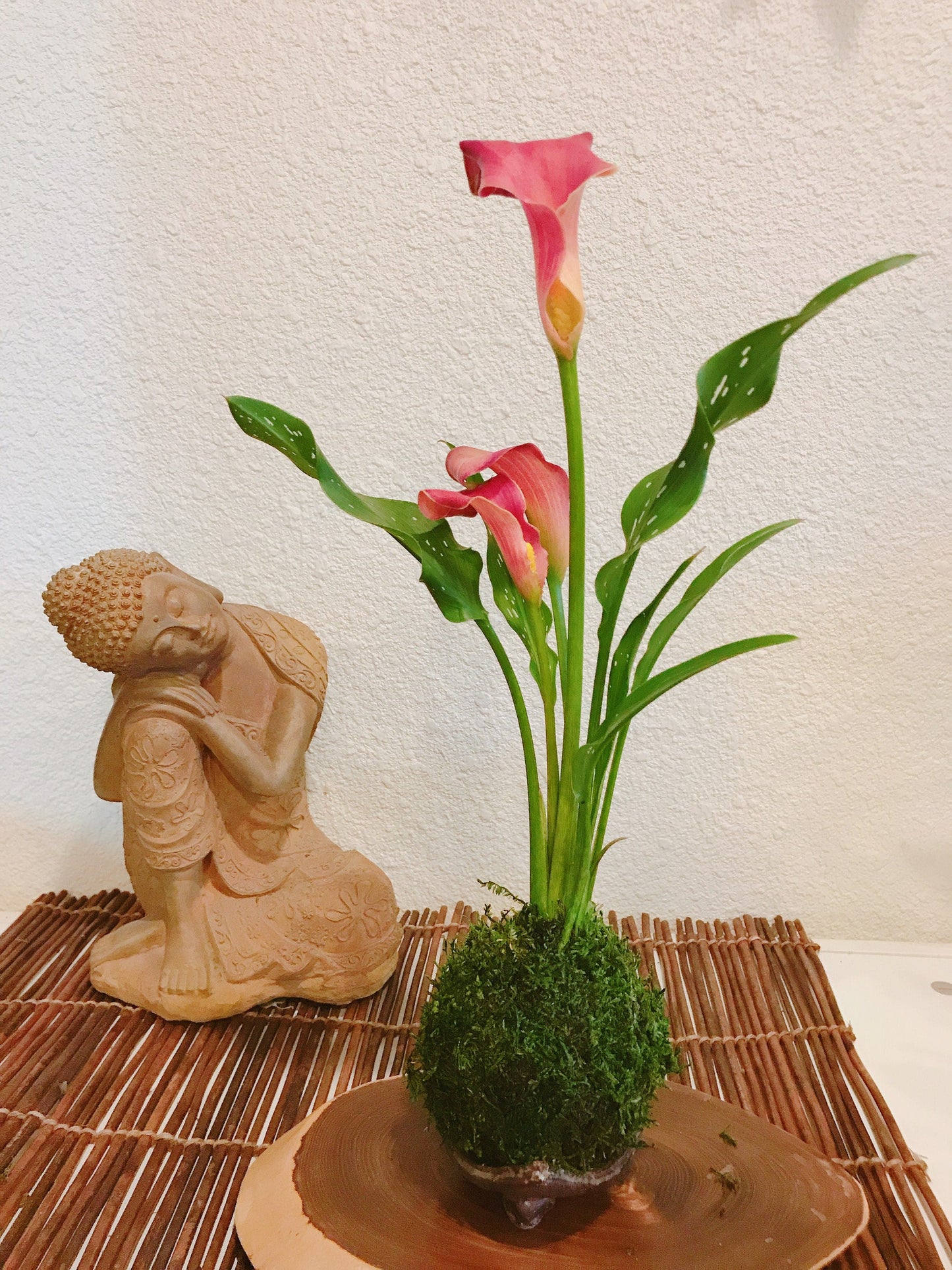 Kokedama - Moss ball with Beautiful Calla Lily