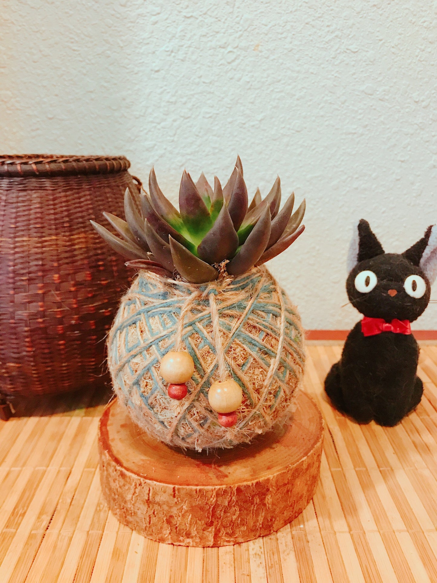 Echeveria Black knight Succulent Kokedama - Moss ball