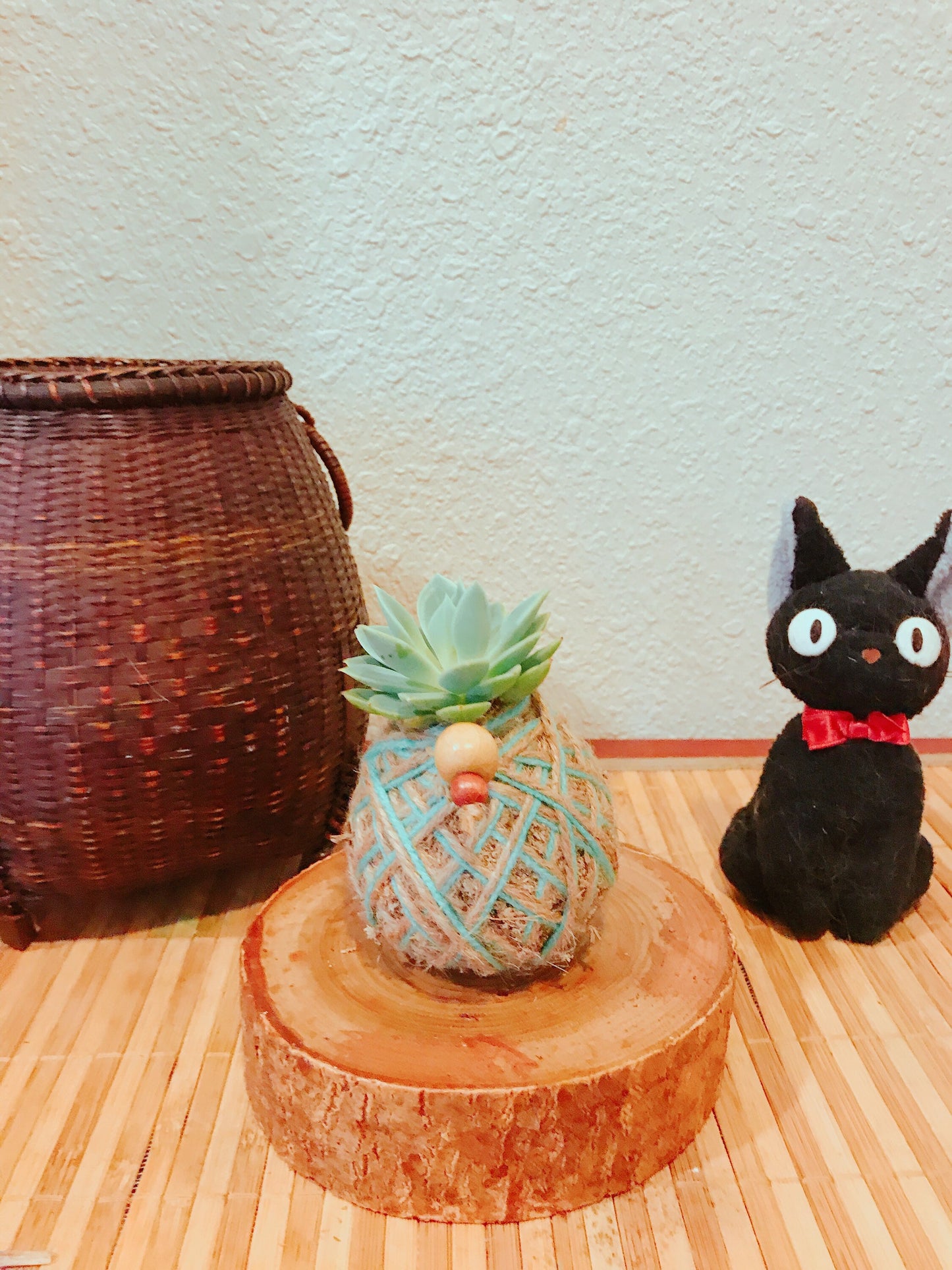 Mini Echeveria succulent Kokedama - Mini Moss ball with Echeveria Succulent. As shown on picture.