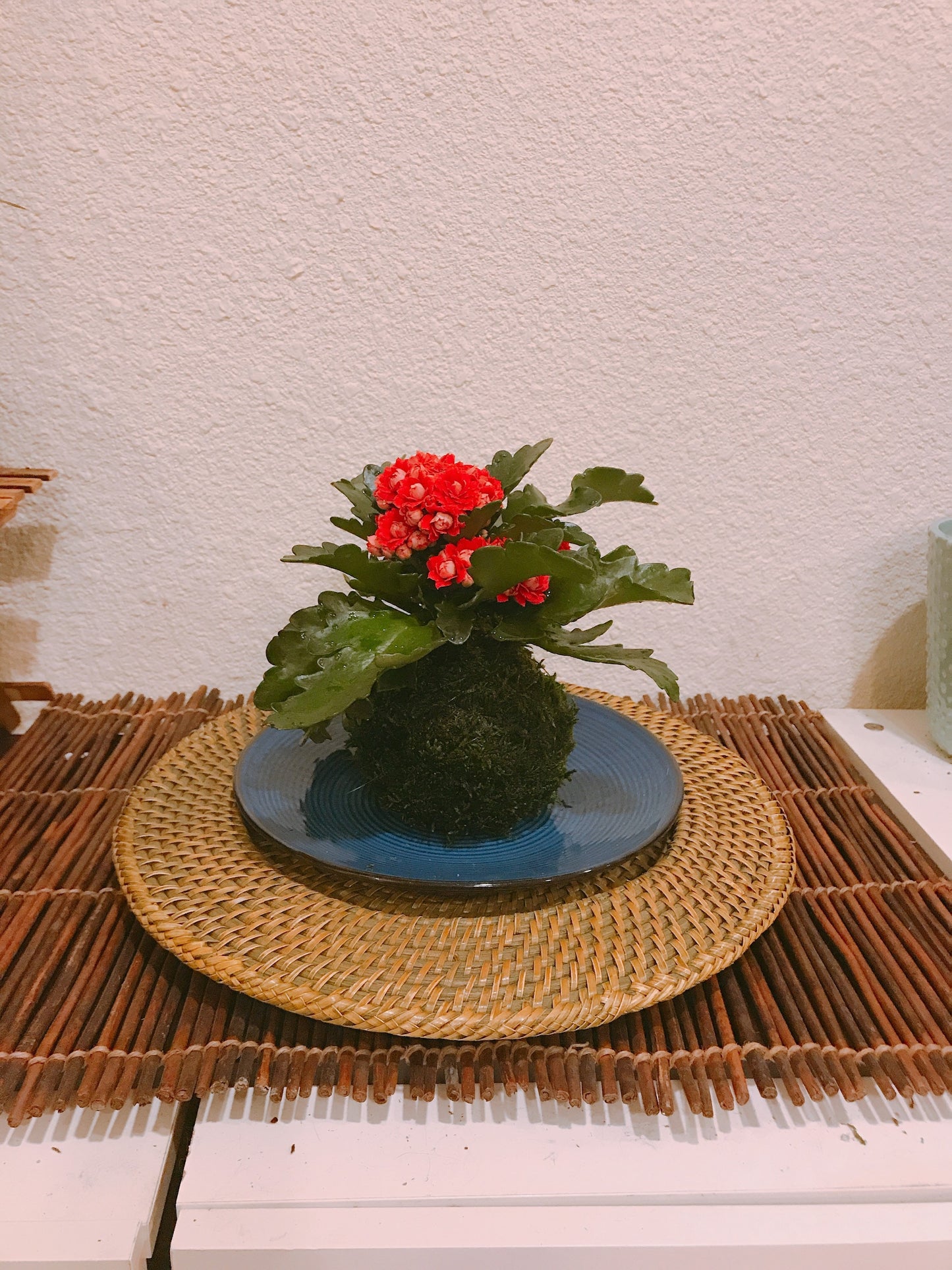 Red Kalanchoe Kokedama