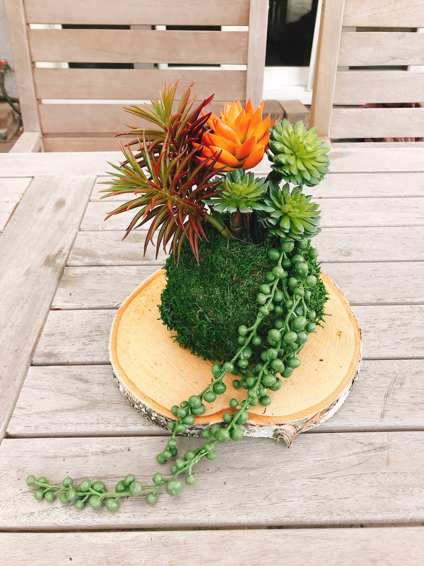 Kokedama - Artifitial plant Kokedama Arrangement, succulent arrangement.