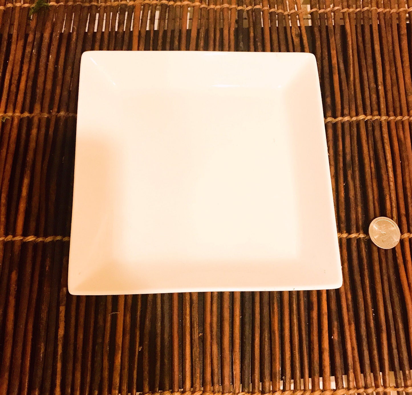 White Ceramic Saucers for Medium to Large Kokedama