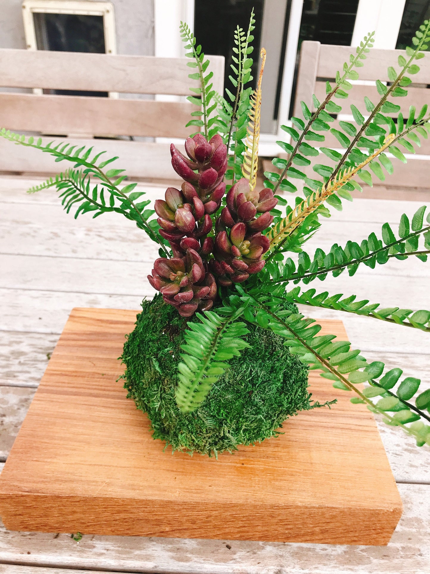 Kokedama - Artifitial plant Kokedama Arrangement, succulent arrangement.
