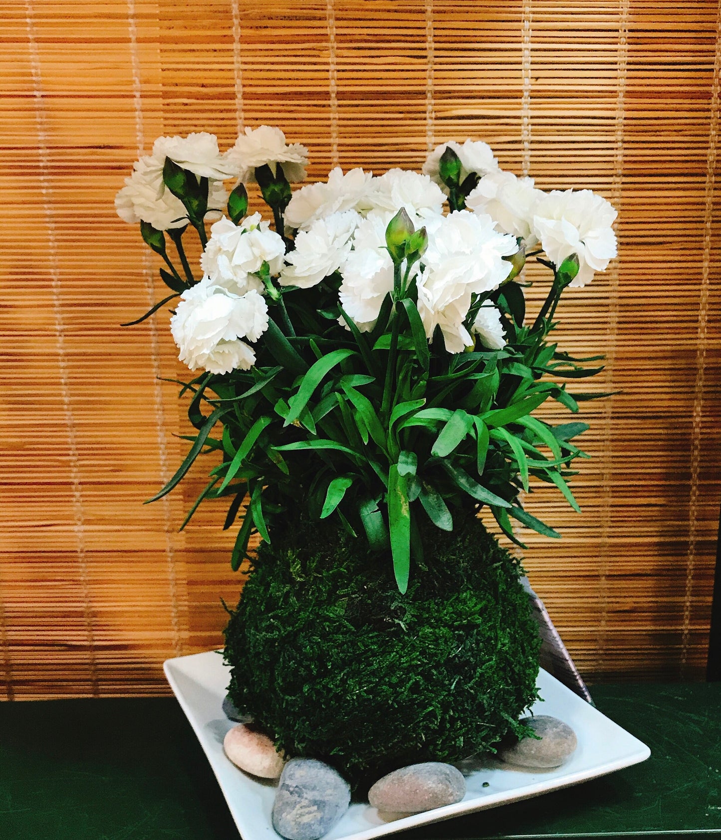 White Ceramic Saucers for Medium to Large Kokedama