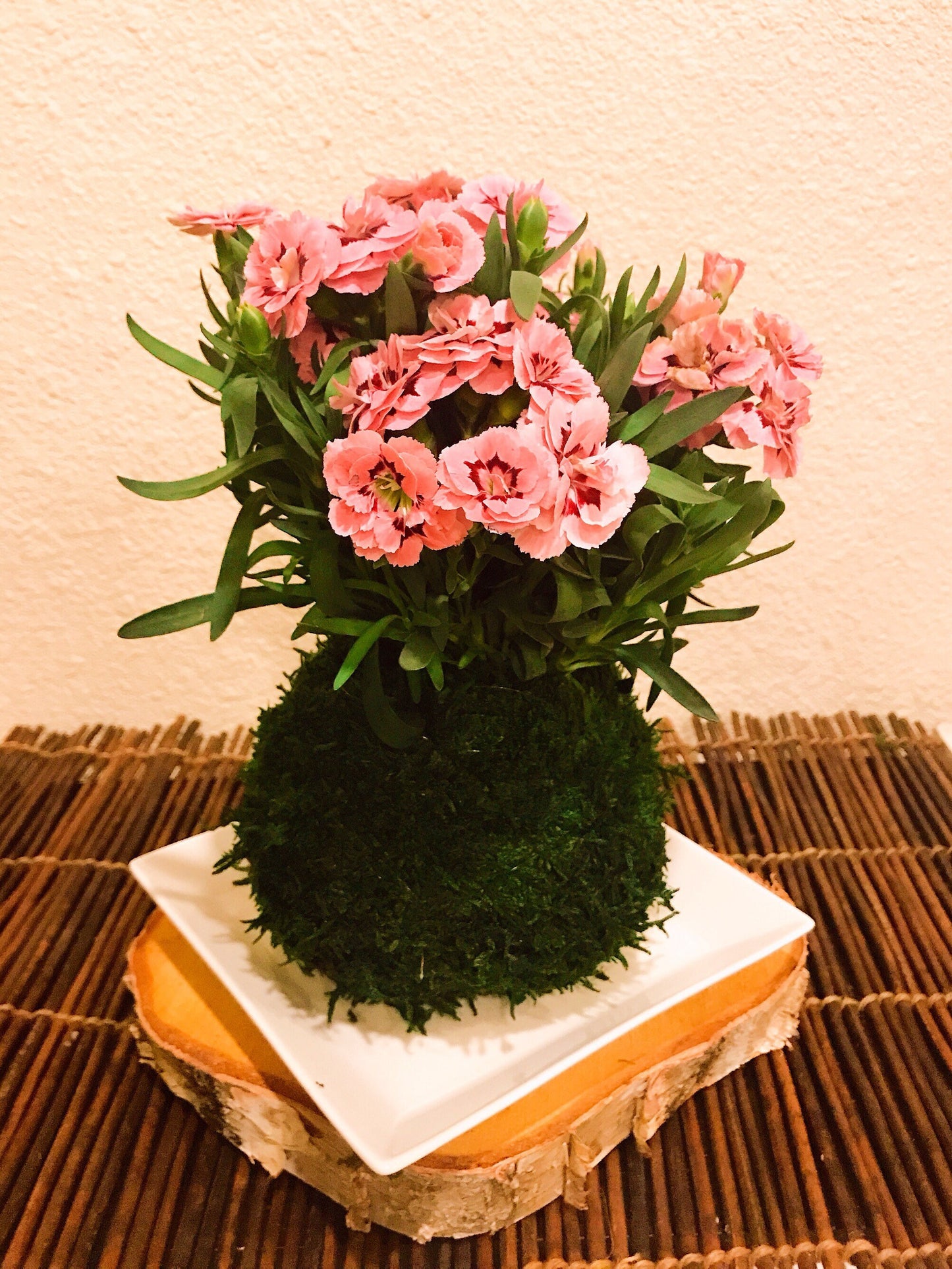 White Ceramic Saucers for Medium to Large Kokedama