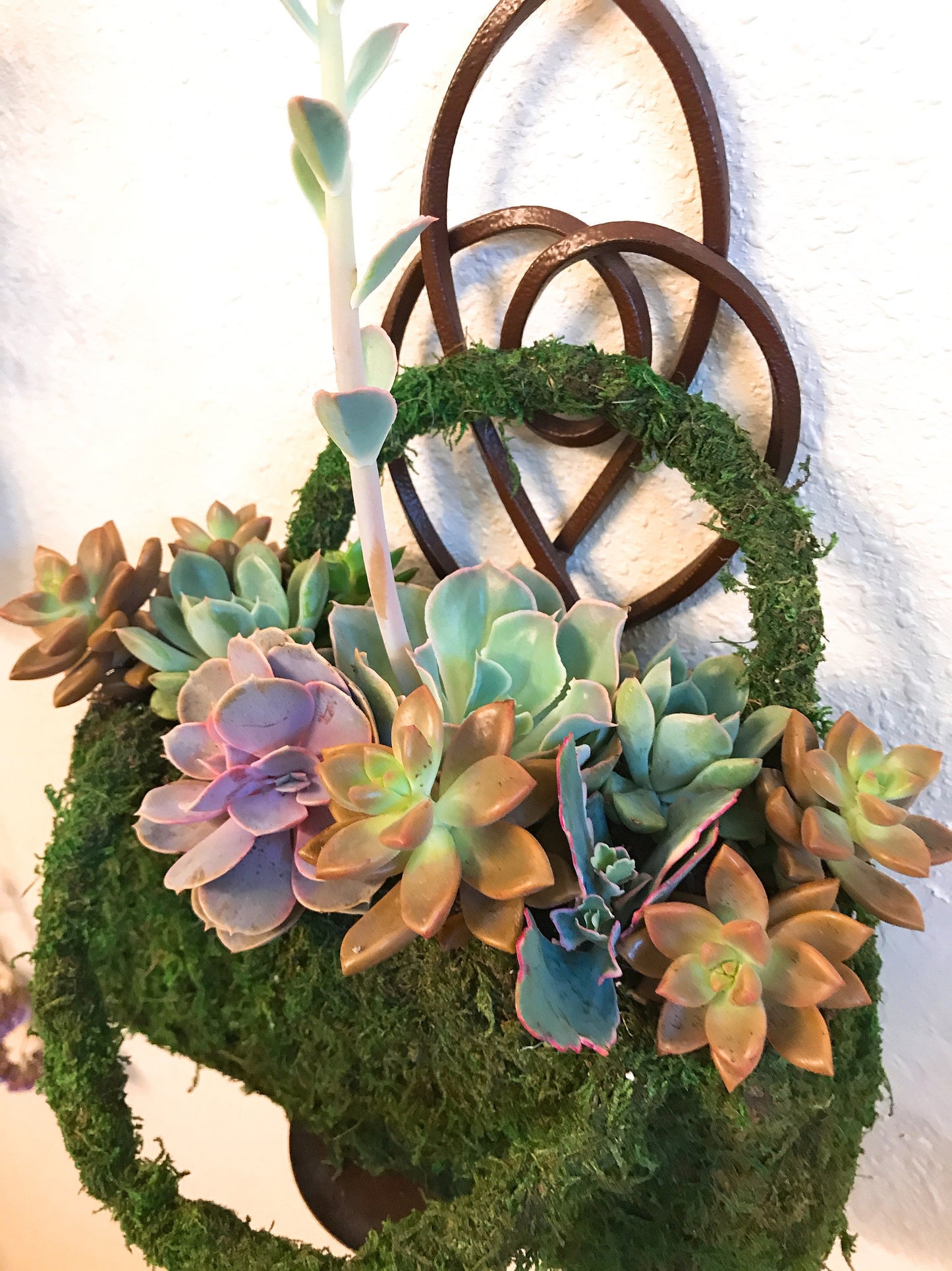 Succulents Moss deco purse - Fresh Green Moss Basket! Mindfulness house decor!