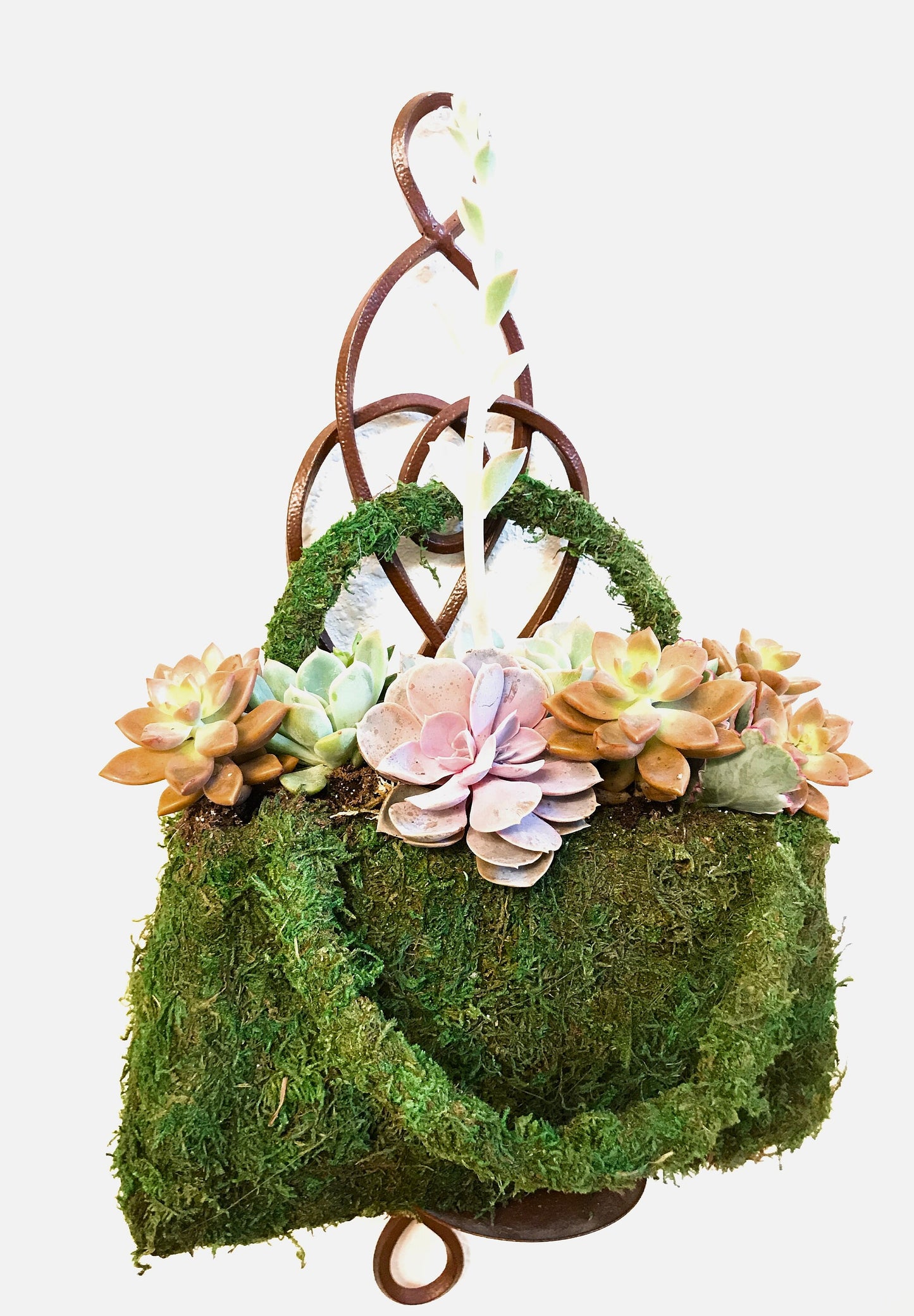Succulents Moss deco purse - Fresh Green Moss Basket! Mindfulness house decor!