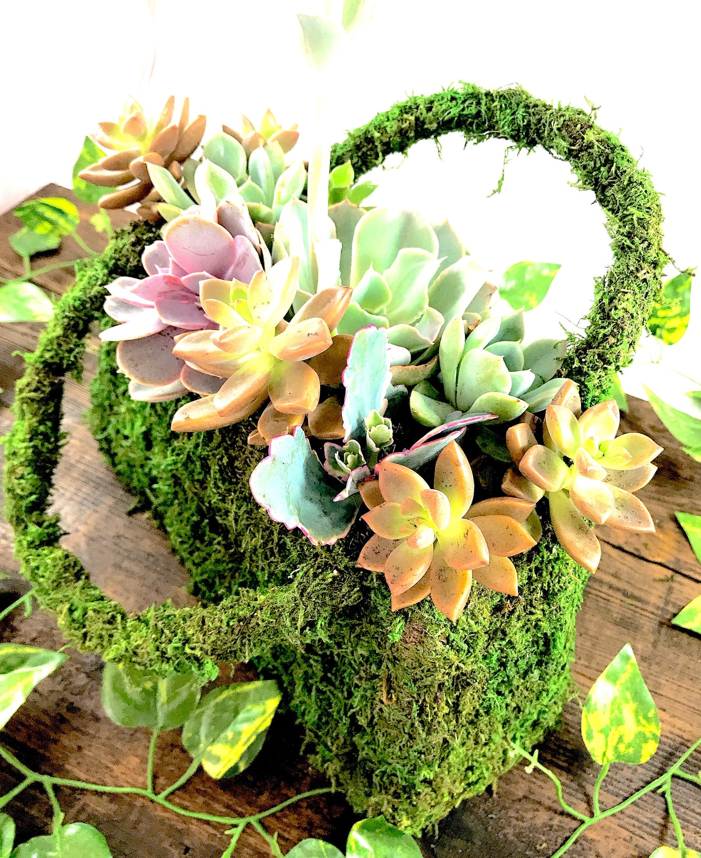 Succulents Moss deco purse - Fresh Green Moss Basket! Mindfulness house decor!