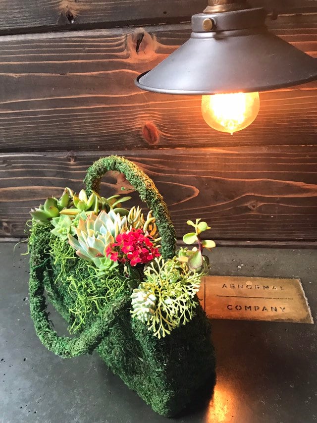 Succulents Moss deco purse - Fresh Green Moss Basket! Mindfulness house decor!