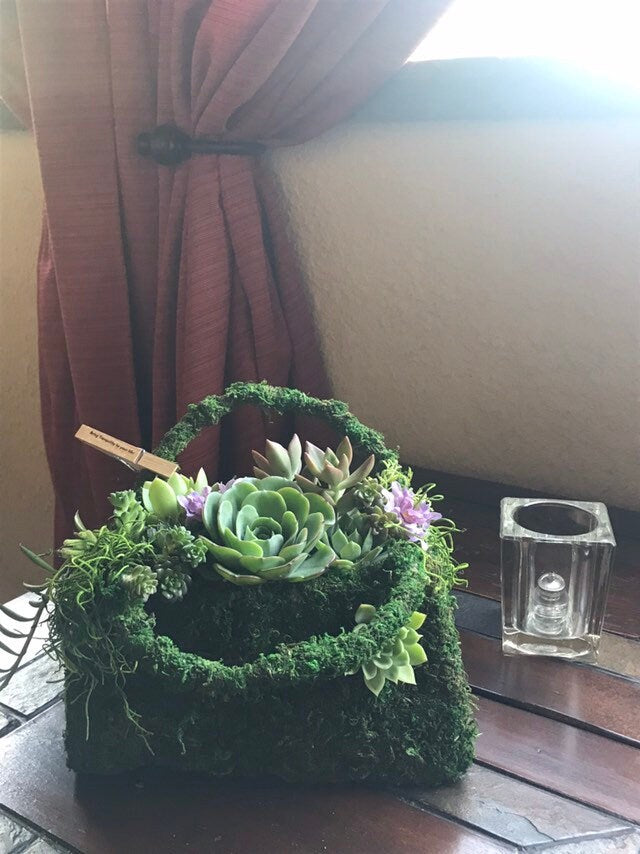 Succulents Moss deco purse - Fresh Green Moss Basket! Mindfulness house decor!