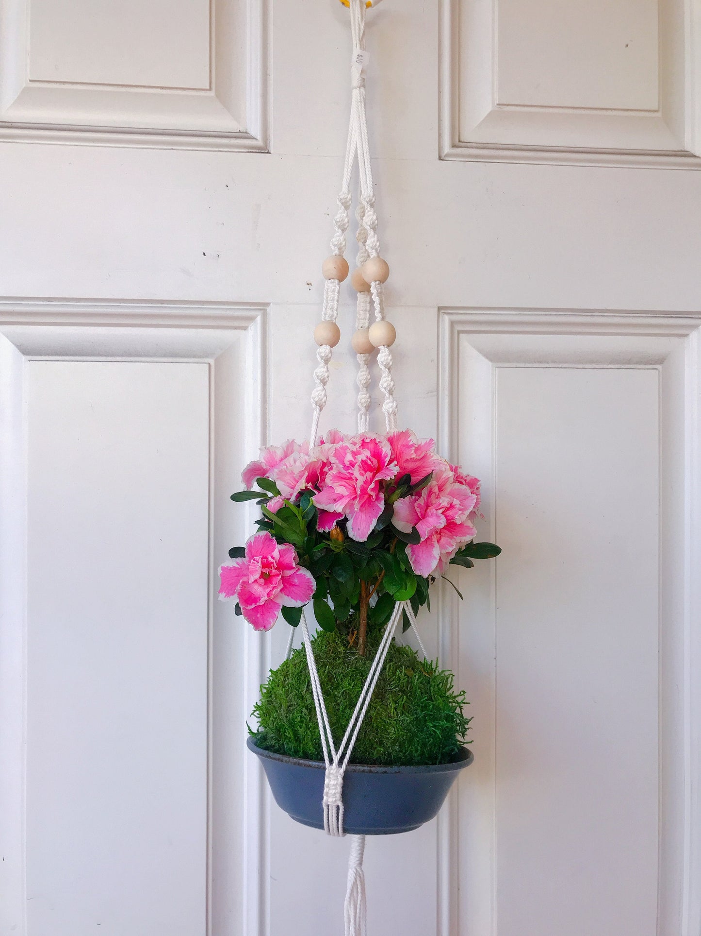 White Beaded Macrame Plant Hanger for Kokedama