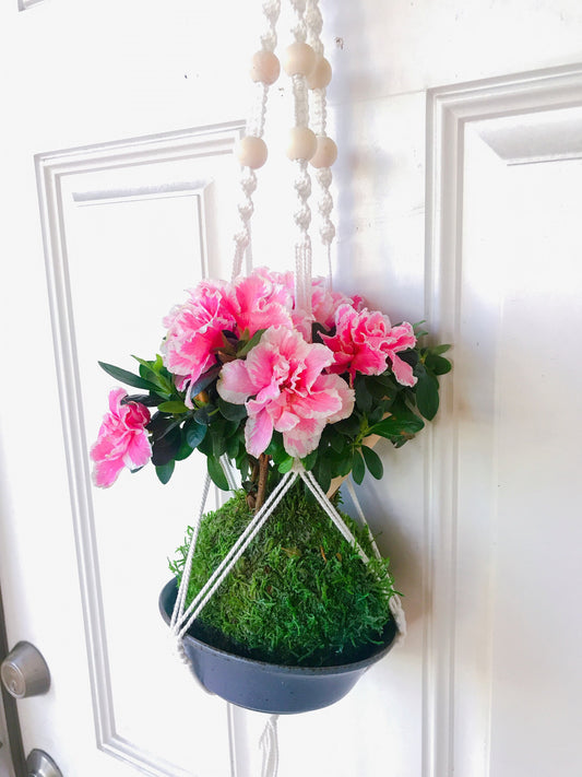 White Beaded Macrame Plant Hanger for Kokedama