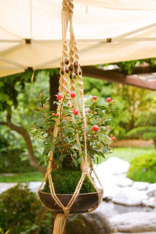Fuchsia Kokedama - Moss ball, beautiful loving house decor.