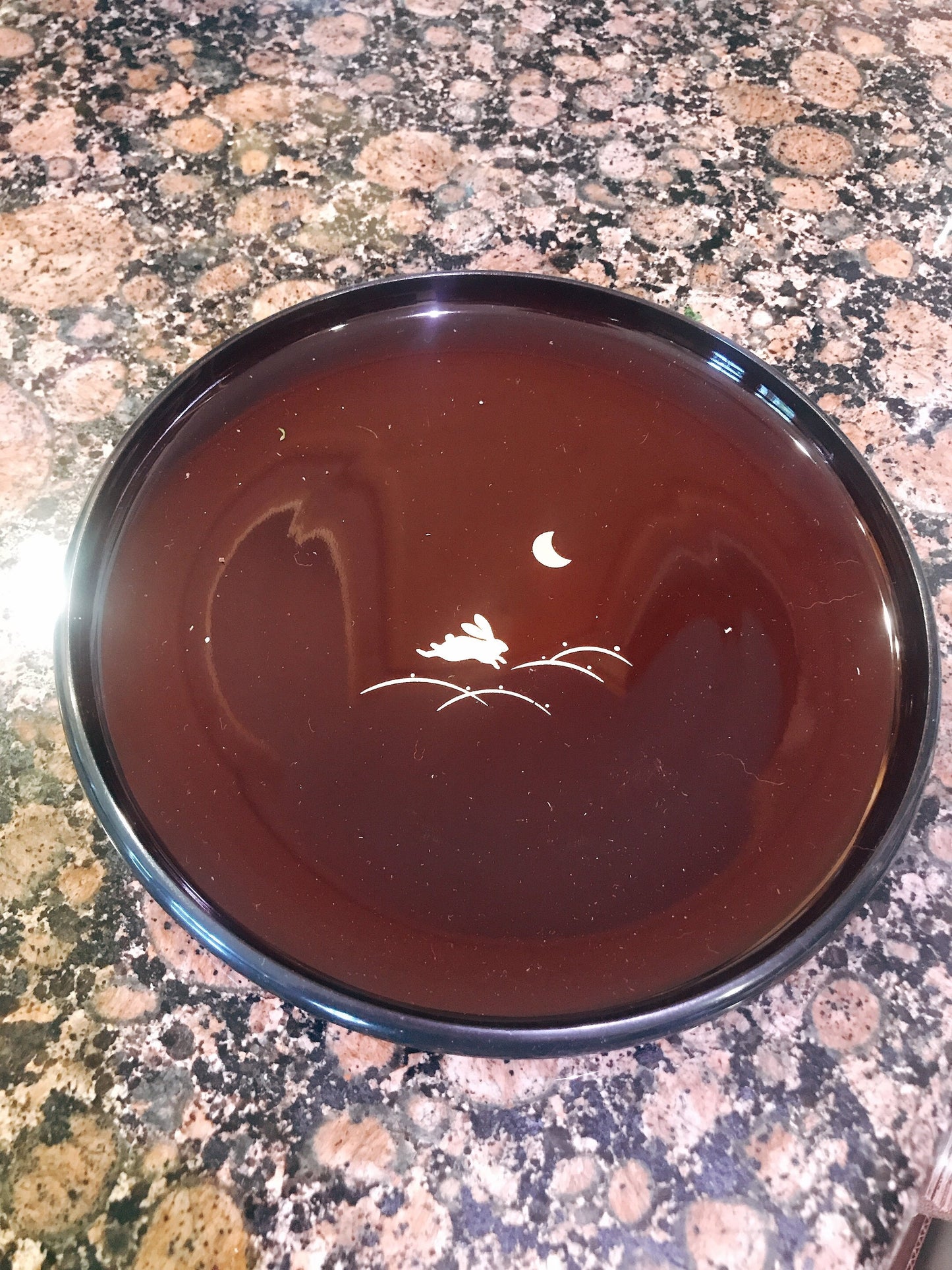 Round light weight, obon type plastic saucer for large Kokedama. 8" x 8"