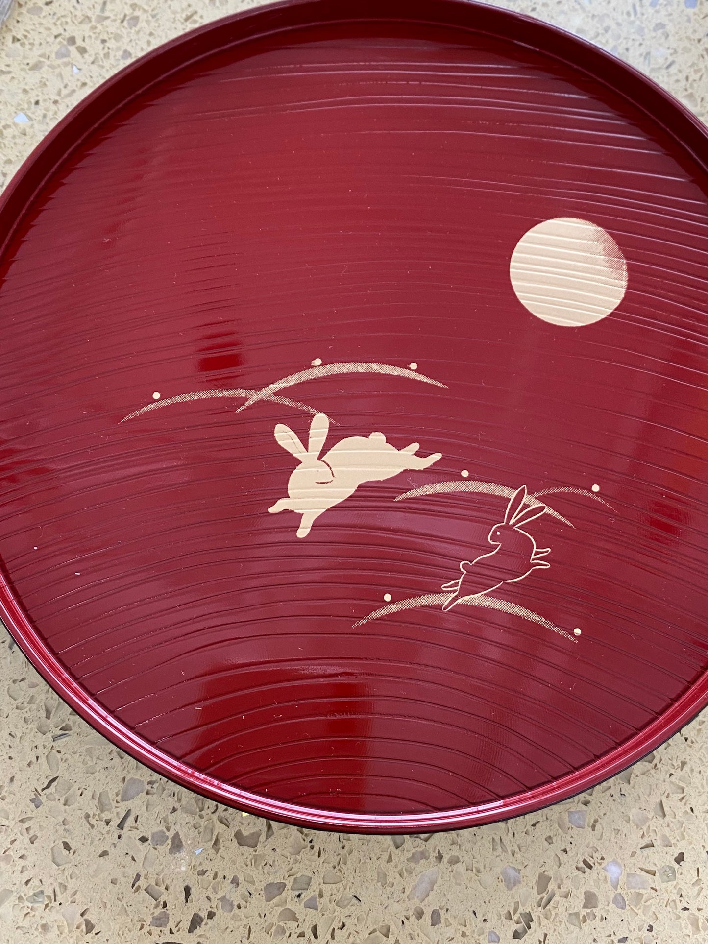 Round light weight, obon type plastic saucer for large Kokedama. 8" x 8"