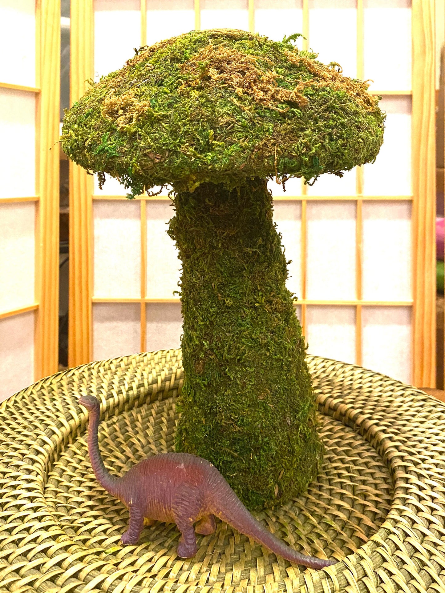 Mushroom deco garden, cute mushroom shape covered with preserved fresh green colored moss