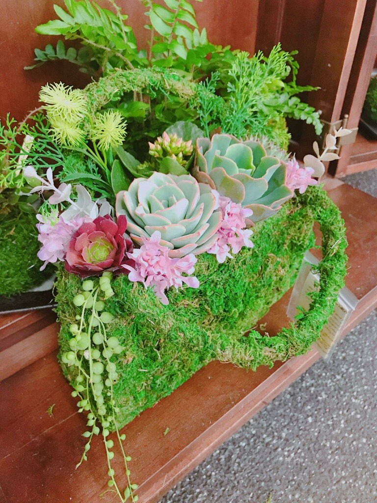 Succulents Moss deco purse - Fresh Green Moss Basket! Mindfulness house decor!