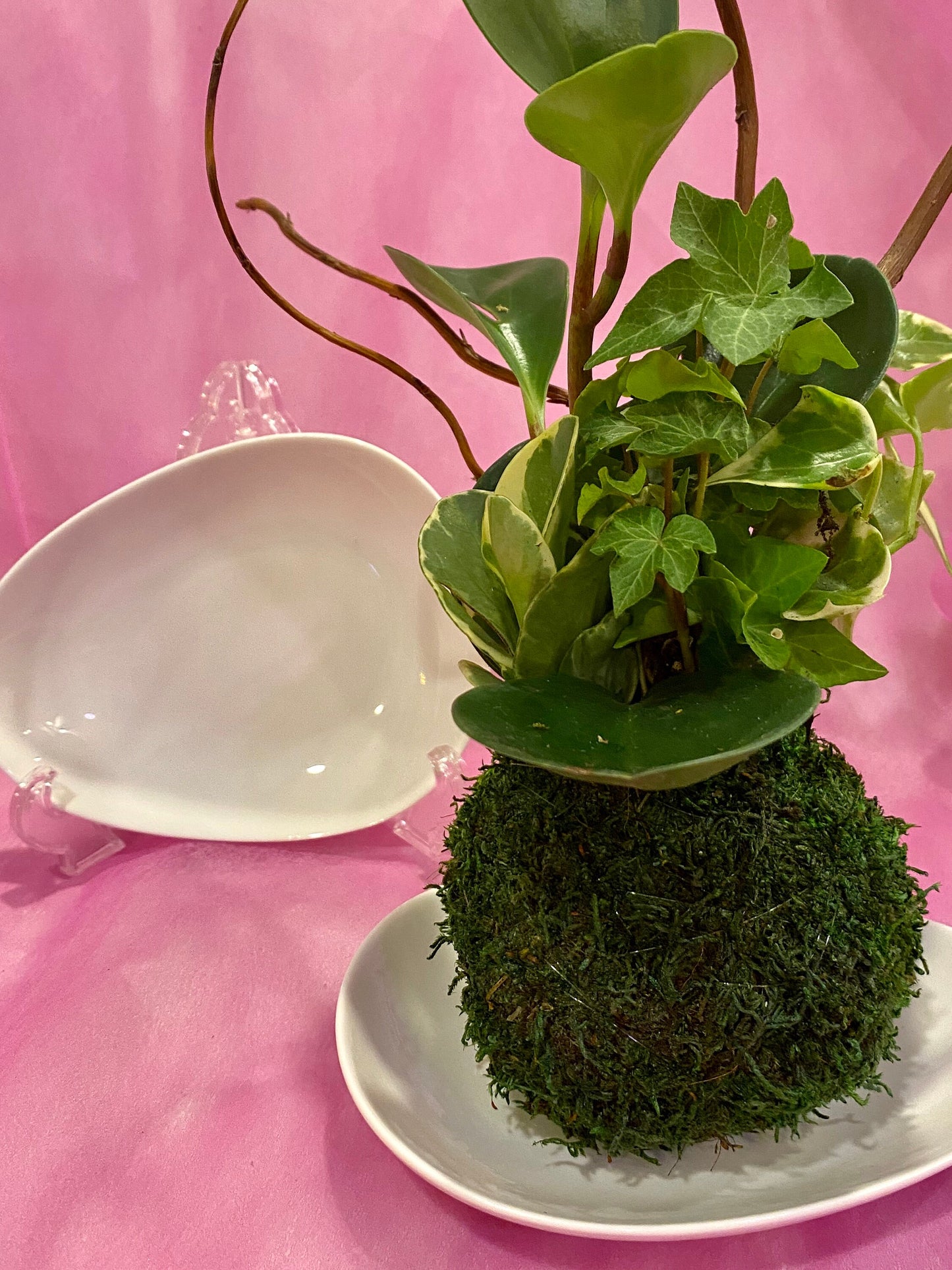 Egg shape ceramic bowl, cute decoration, good for small to medium kokedama 6" x 5"
