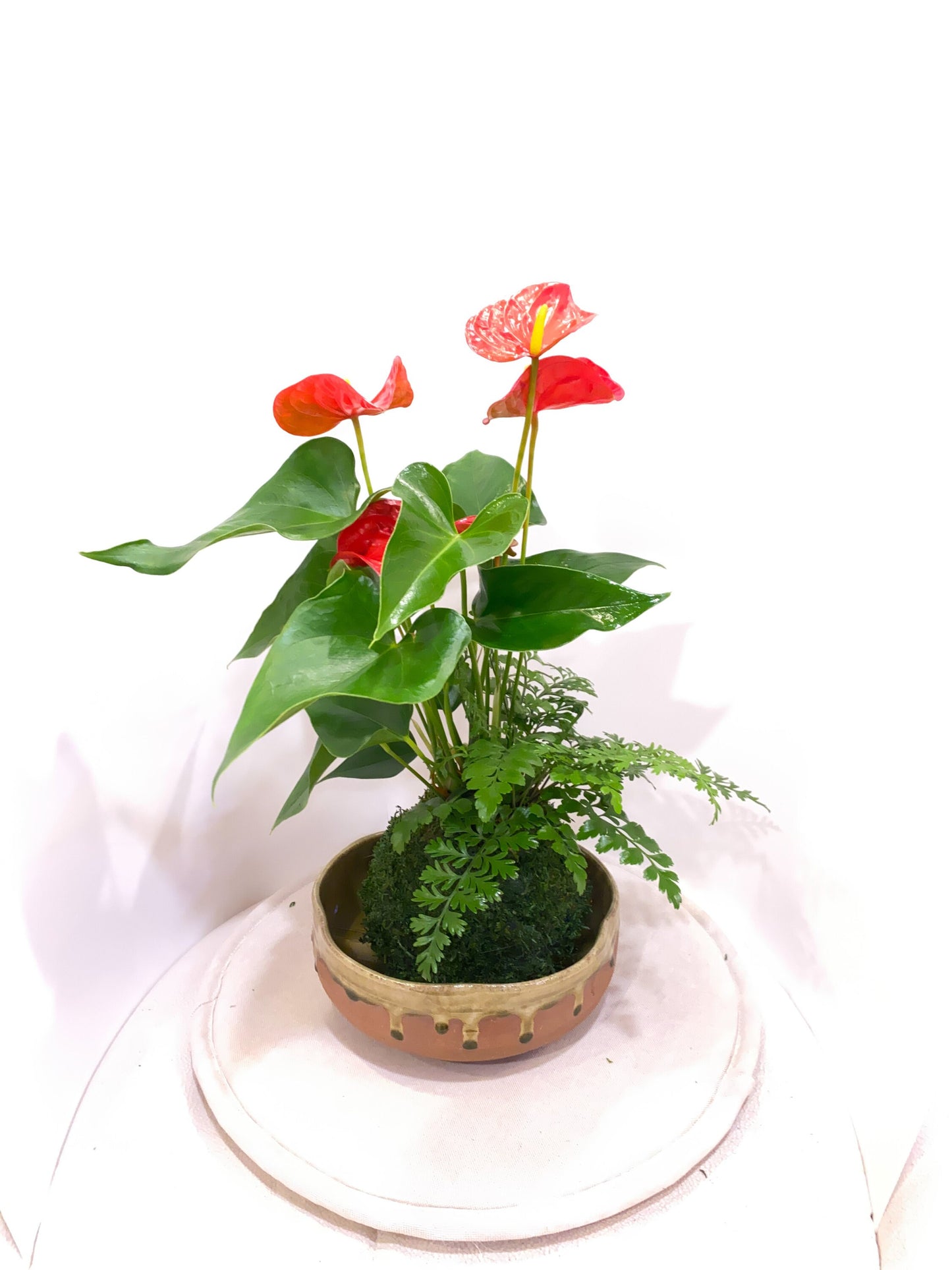 Anthurium and Fern arranged kokedama -- Bonsai Moss ball - house decor with Japanese technique plants!