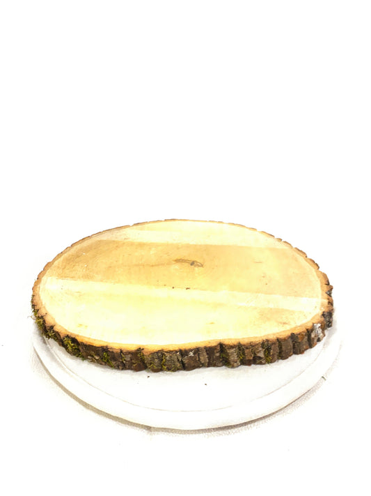 Wood Stump Saucer for Large Kokedama, Sliced Wood Saucer 10~12" diameter or oval