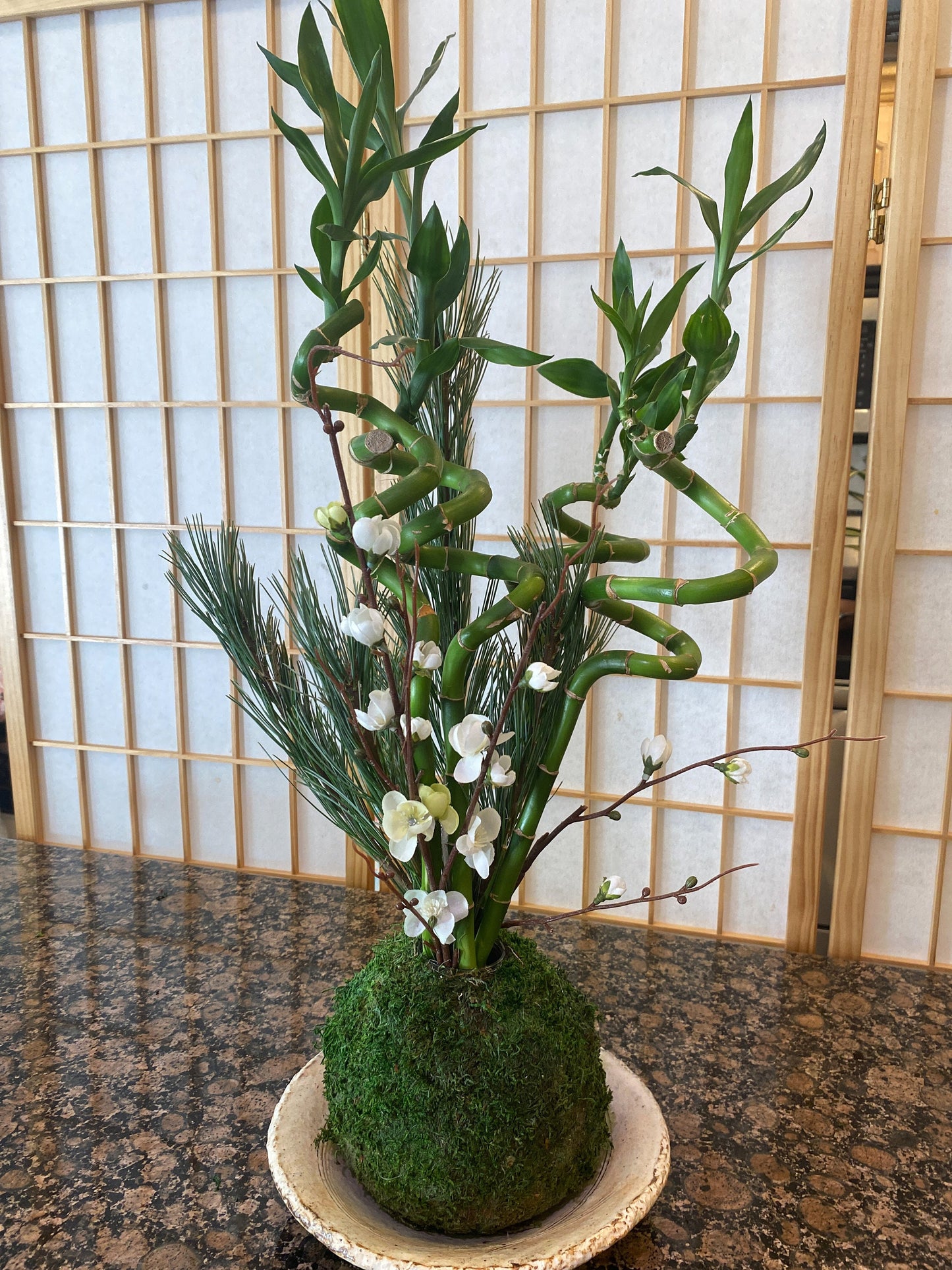 Kokedama base, Ikebana Kokedama. Decorate with any of your favorite cutting flowers/plants. Great for new year decoration.