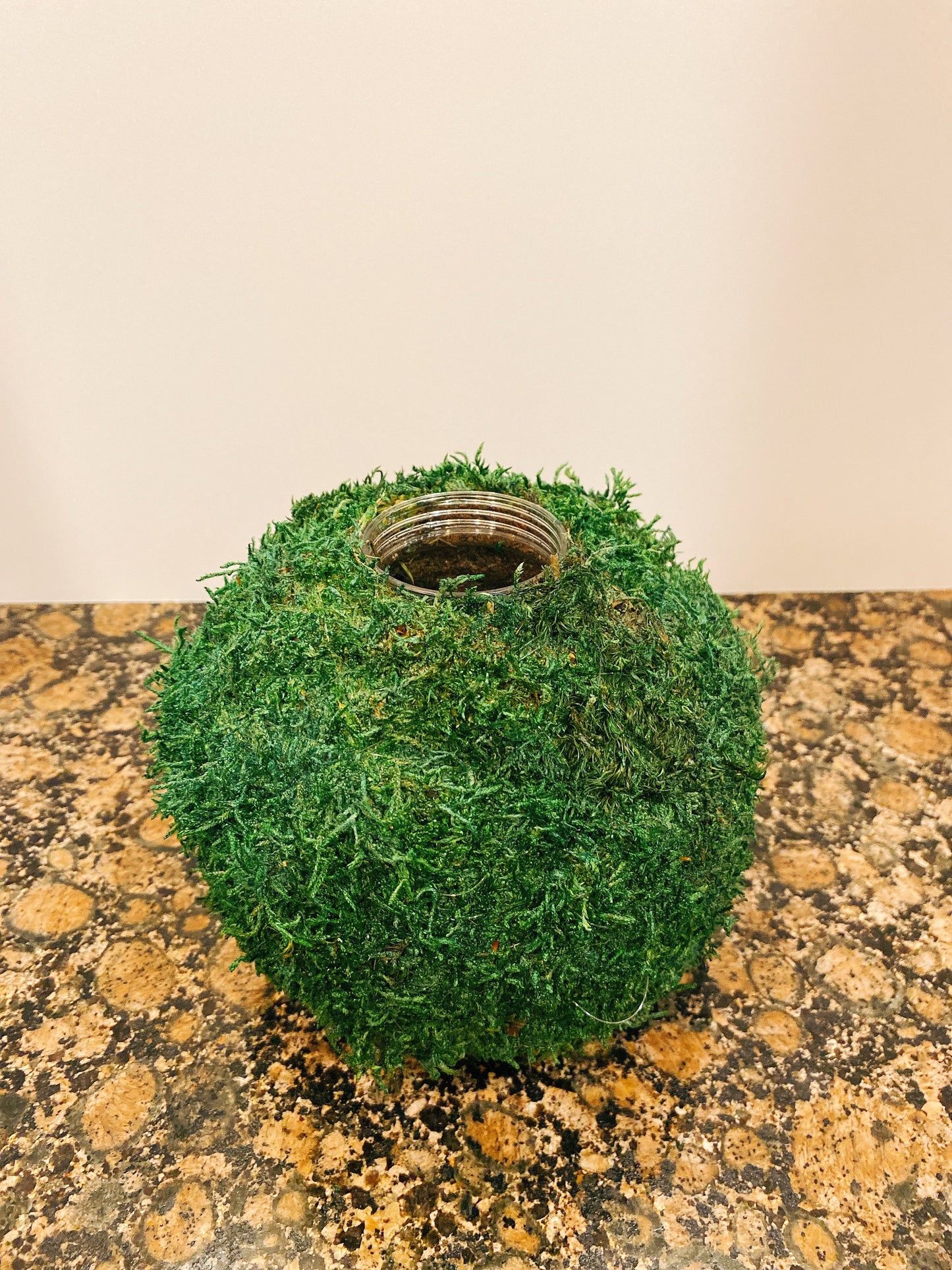 Kokedama base, Ikebana Kokedama. Decorate with any of your favorite cutting flowers/plants. Great for new year decoration.