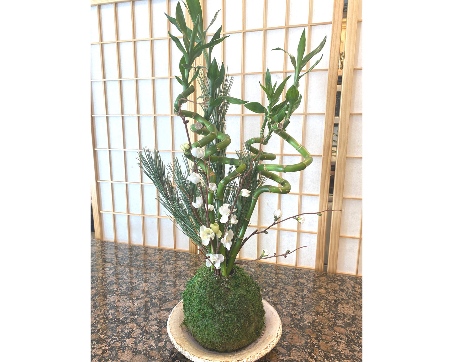 Kokedama base, Ikebana Kokedama. Decorate with any of your favorite cutting flowers/plants. Great for new year decoration.